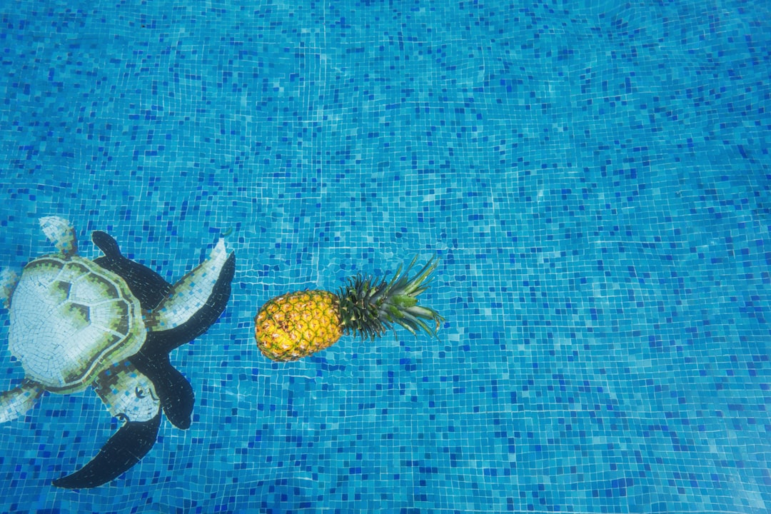 photo of a pineapple floating in a pool while in mexico